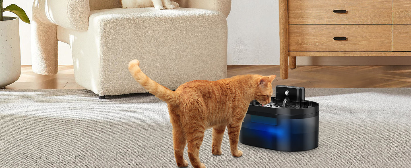 Wireless Cat Fountain:Pet Fountain Water Dispenser Battery Operated