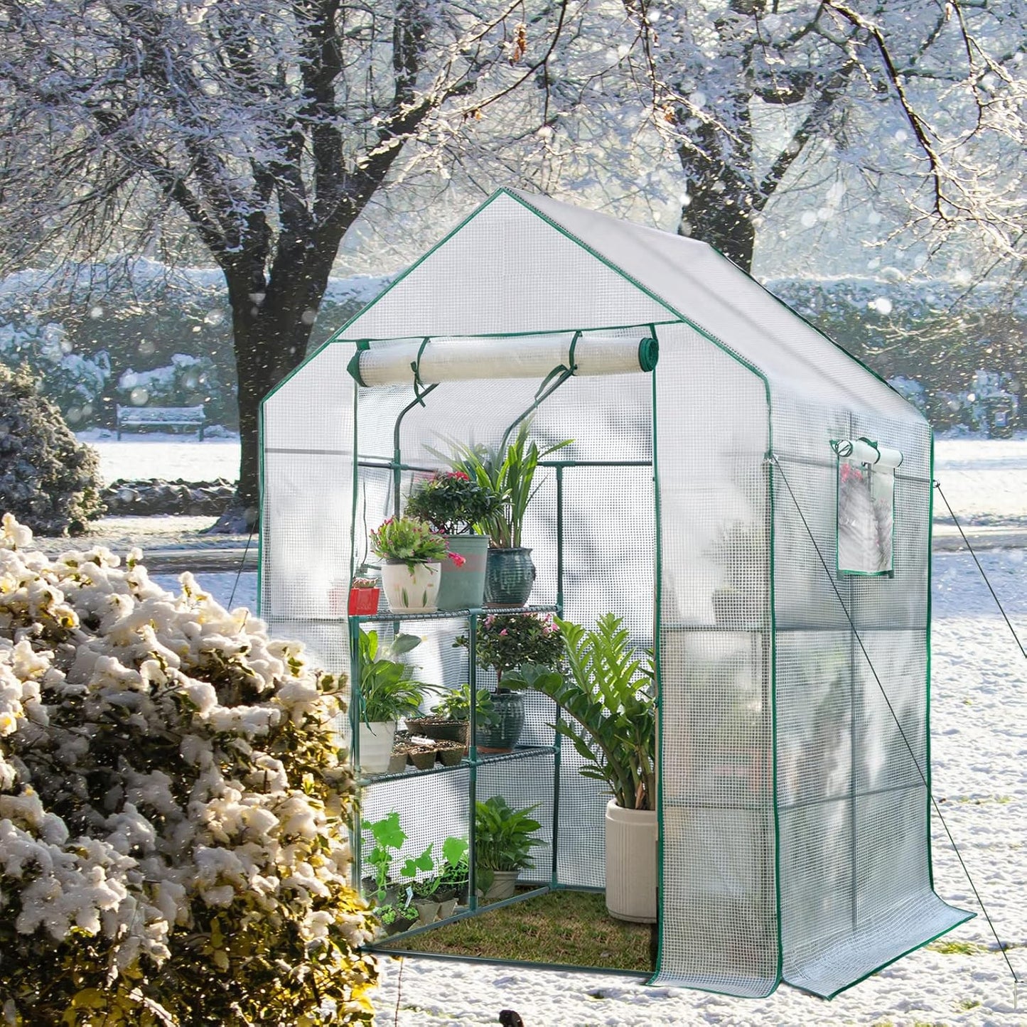 Quictent Greenhouse for Outdoors, 56x56x77-inch Portable Heavy Duty Walk-in Green Garden Hot House for Outside Indoor W/ Screen Door & Window, PVC Cover, Clear
