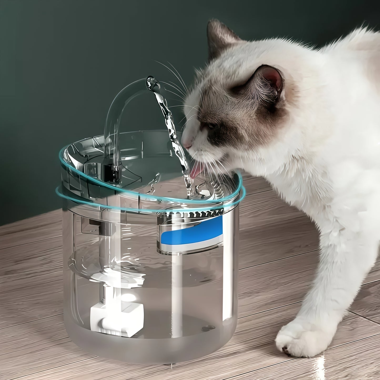 Transparent Pet Water Dispenser