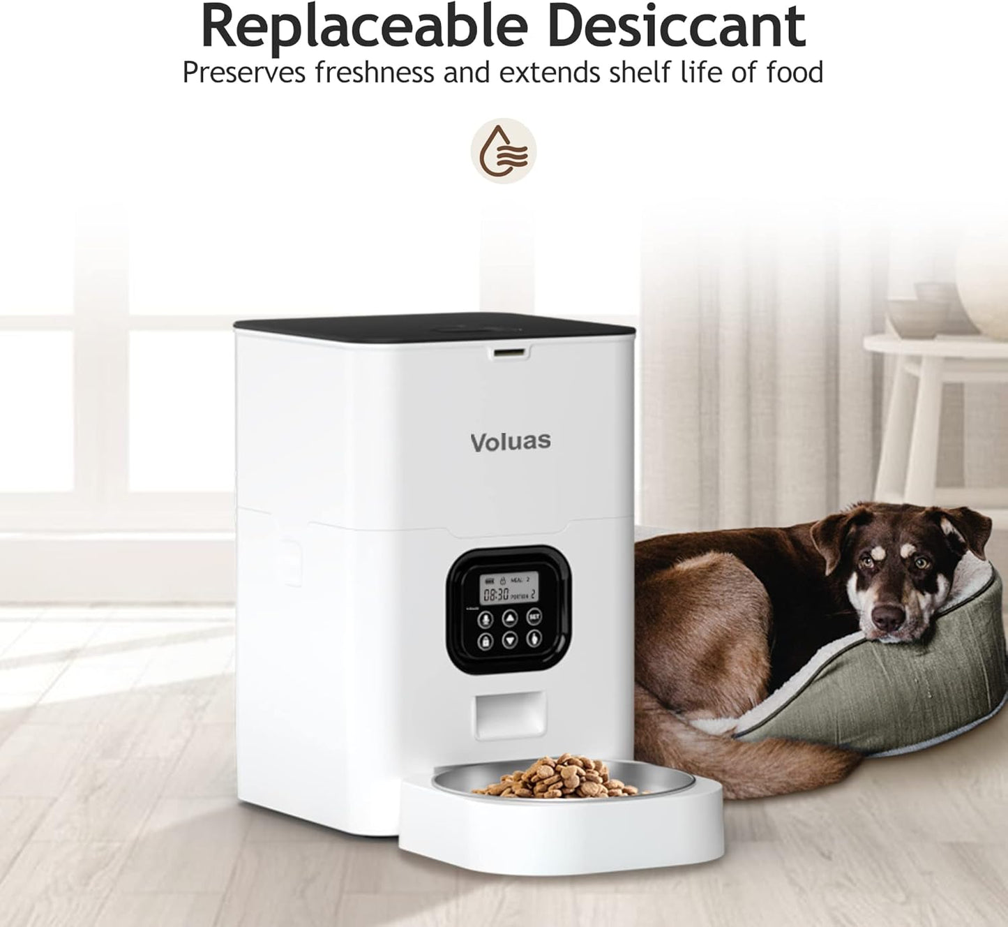 VOLUAS Automatic Cat Feeders