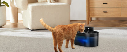 Wireless Cat Fountain:Pet Fountain Water Dispenser Battery Operated