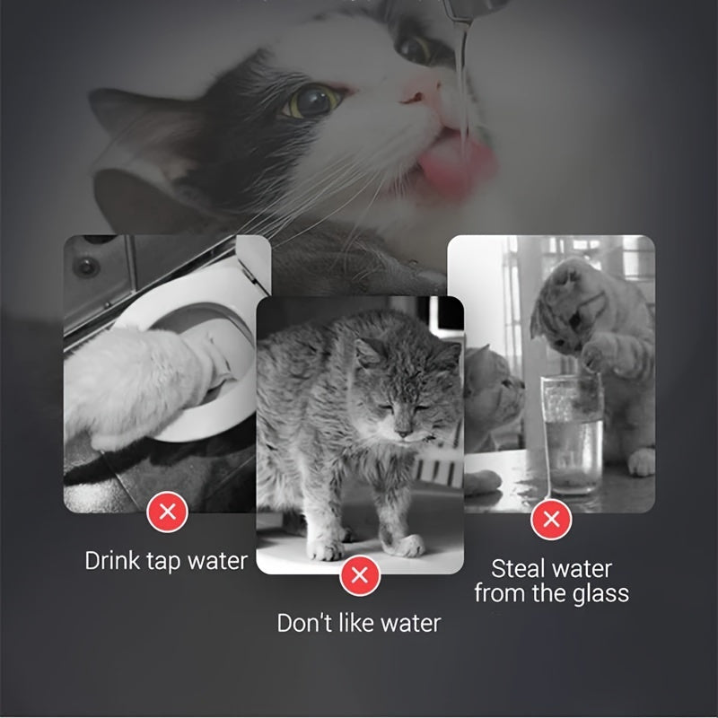 Transparent Pet Water Dispenser