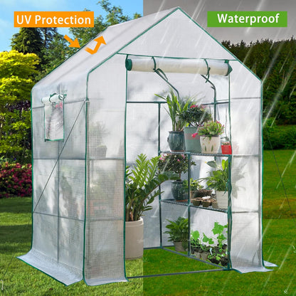 Quictent Greenhouse for Outdoors, 56x56x77-inch Portable Heavy Duty Walk-in Green Garden Hot House for Outside Indoor W/ Screen Door & Window, PVC Cover, Clear