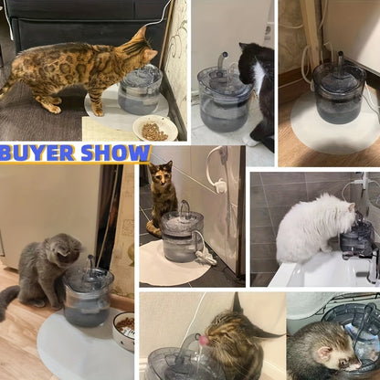 Transparent Pet Water Dispenser